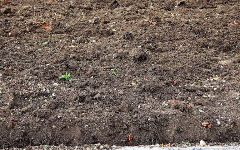 Bodenproben Im Garten Selber Nehmen Und Analysieren Lassen