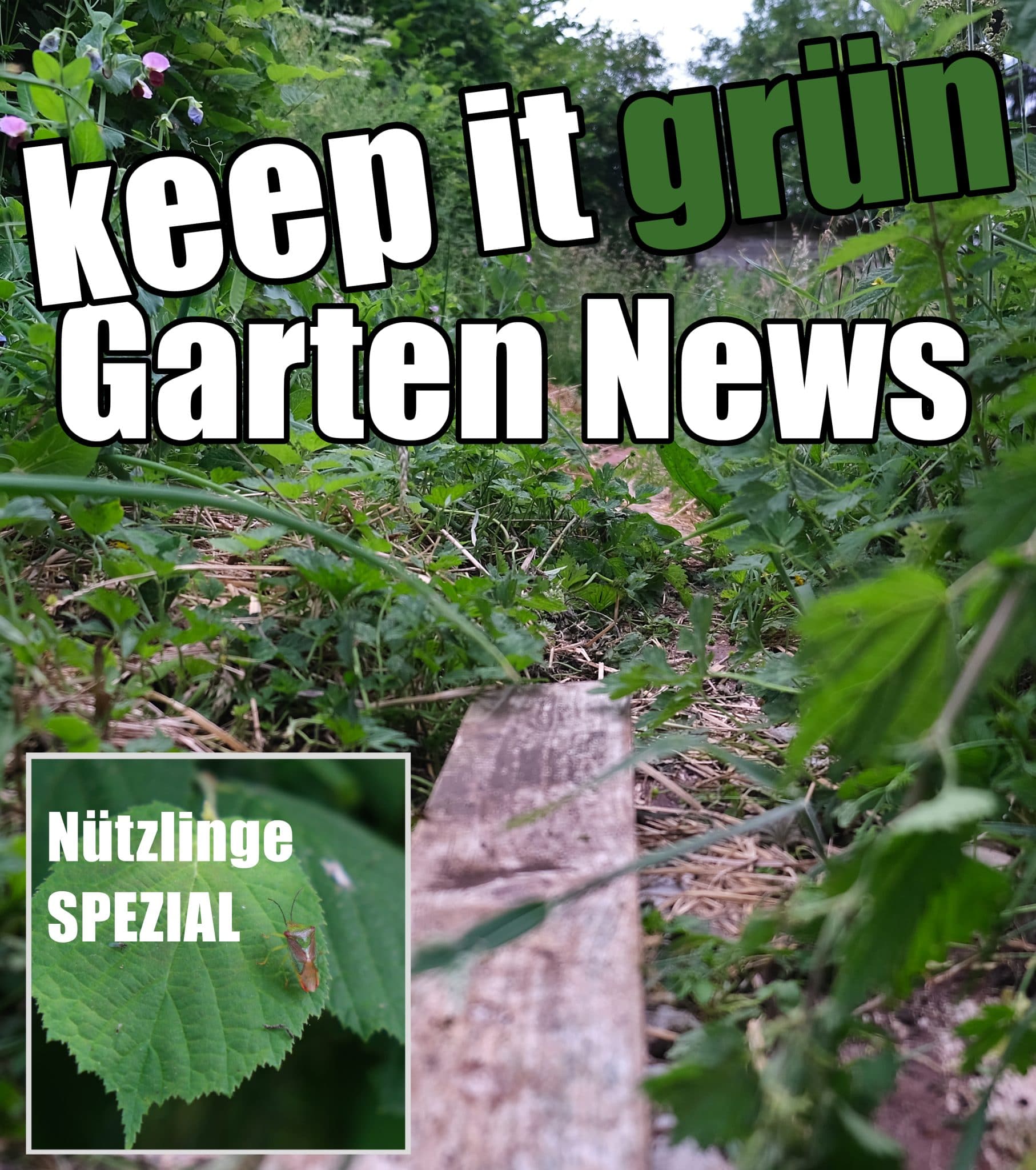 Garten news