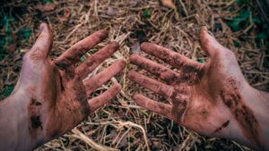 Dreckige Hände Gartenarbeit