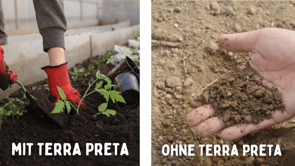 Was ist Terra Preta? [schwarze Supererde]