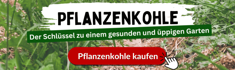 Mulchen Im Garten - So Macht Man Es RICHTIG (Anleitung)