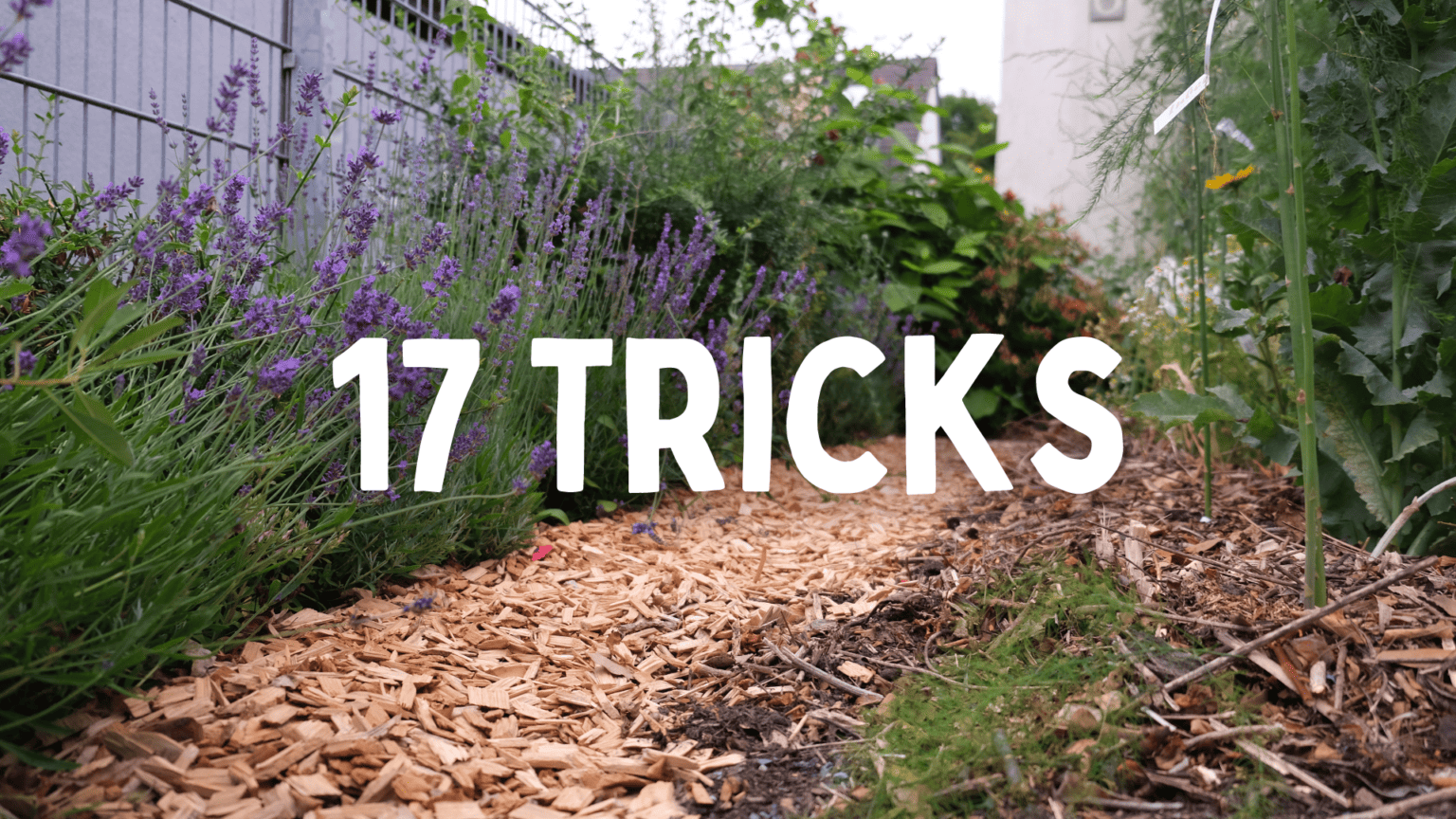 der Garten naturnah gestalten 17 Tipps und Tricks
