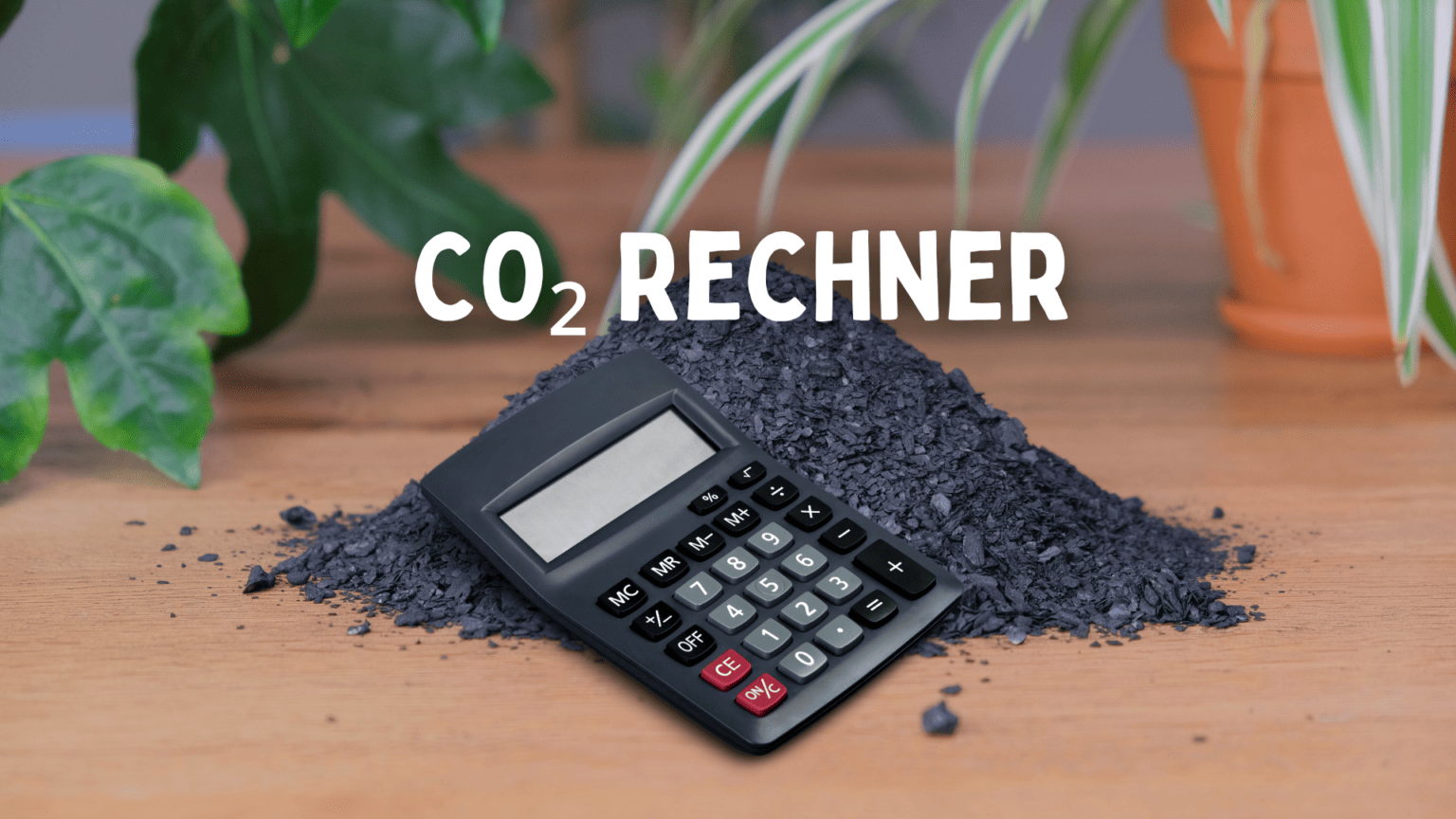 Pflanzenkohle CO2 Rechner